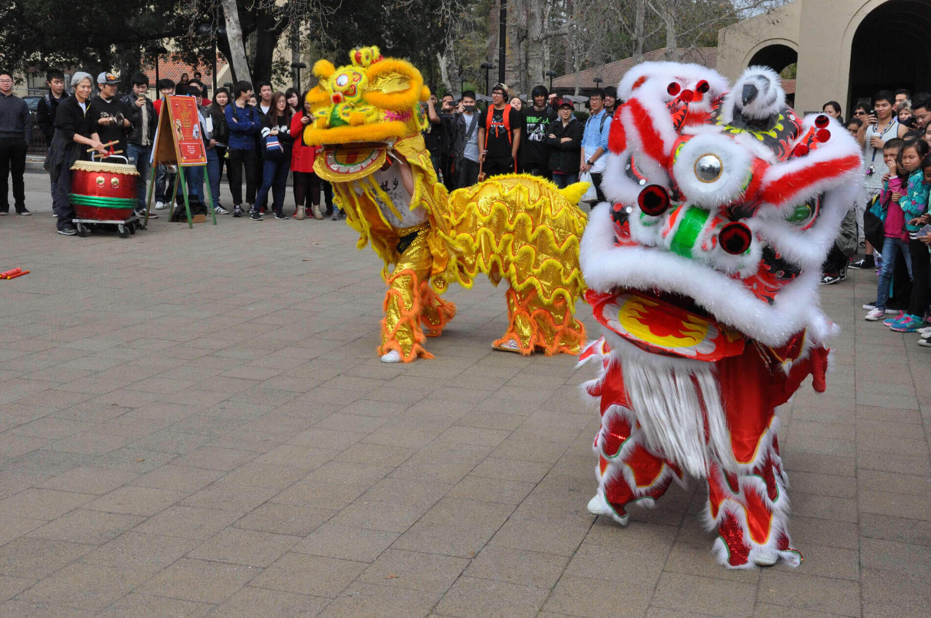龙在中国新年庆祝活动