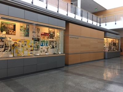 人类学玻璃箱MLC