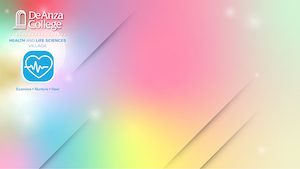 版本2 bg 3