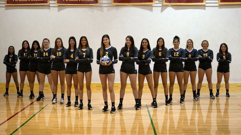 2019 - 20女子排球队”width=